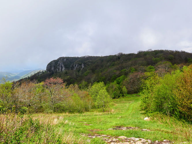 Picture 54 of Big Firescald Knob Hike 051517