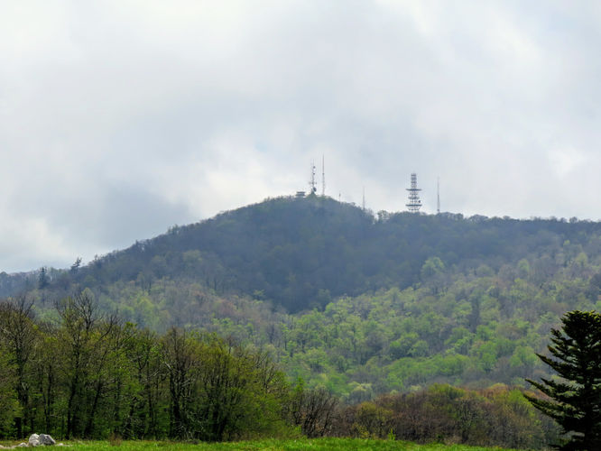 Picture 56 of Big Firescald Knob Hike 051517