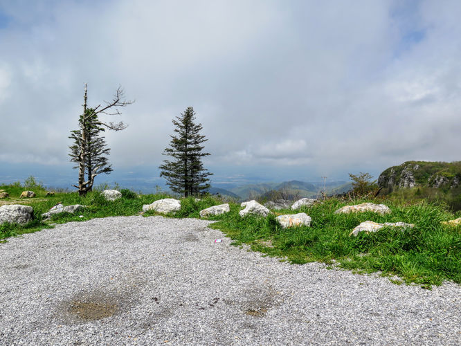 Picture 57 of Big Firescald Knob Hike 051517
