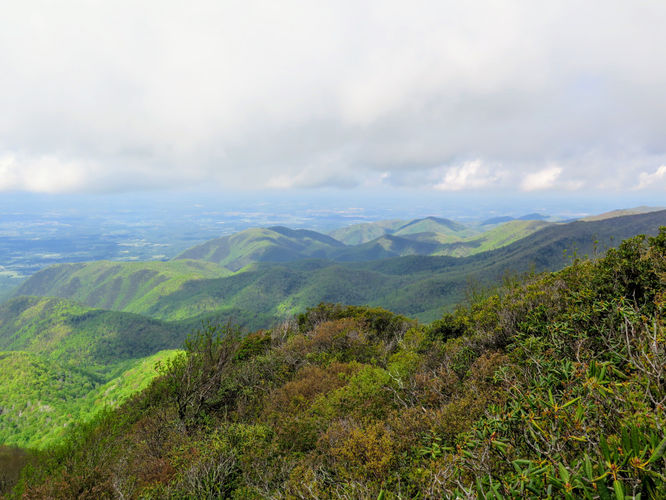 Picture 62 of Big Firescald Knob Hike 051517