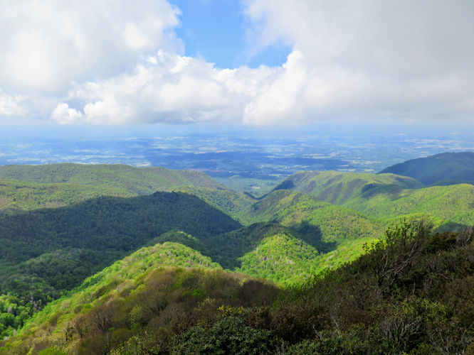 Picture 63 of Big Firescald Knob Hike 051517