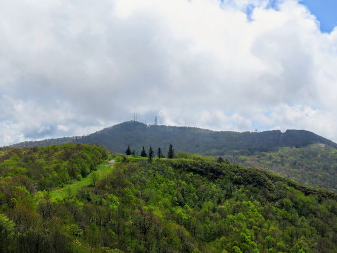 Picture 64 of Big Firescald Knob Hike 051517