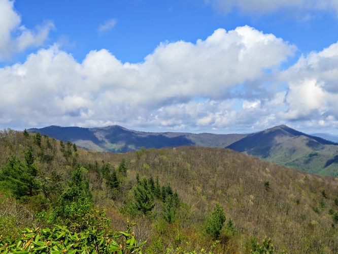 Picture 70 of Big Firescald Knob Hike 051517