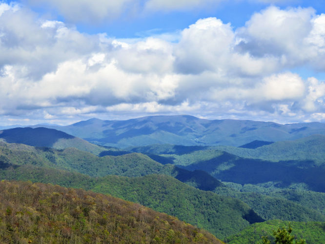 Picture 71 of Big Firescald Knob Hike 051517