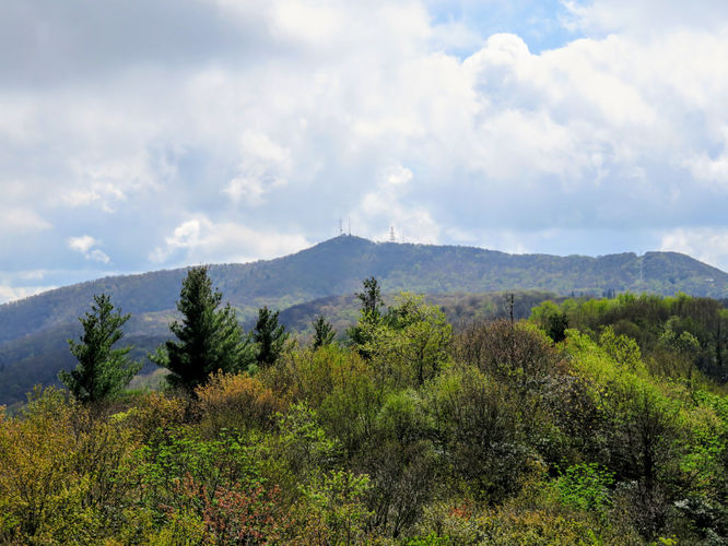 Picture 72 of Big Firescald Knob Hike 051517