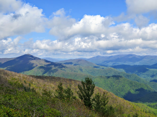 Picture 73 of Big Firescald Knob Hike 051517