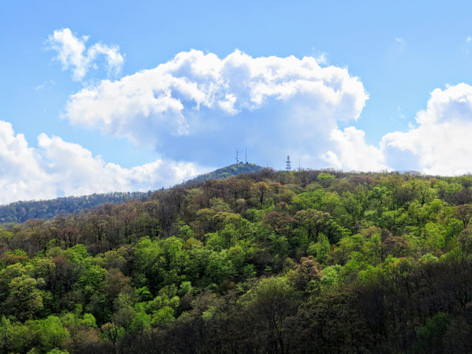 Picture 78 of Big Firescald Knob Hike 051517