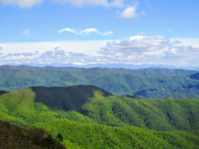 Picture 79 of Big Firescald Knob Hike 051517
