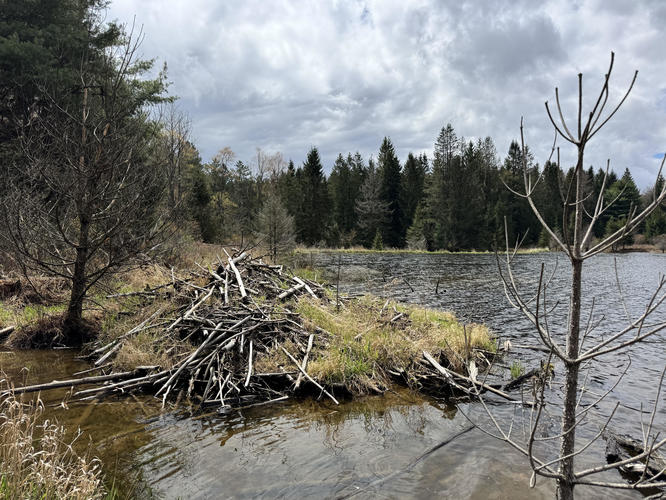 Big Rocks Loop - Big Rocks  album