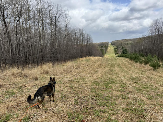 Picture 2 of Big Rocks 
