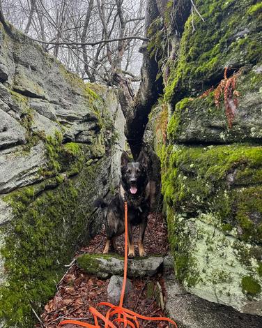 Picture 5 of Big Rocks 