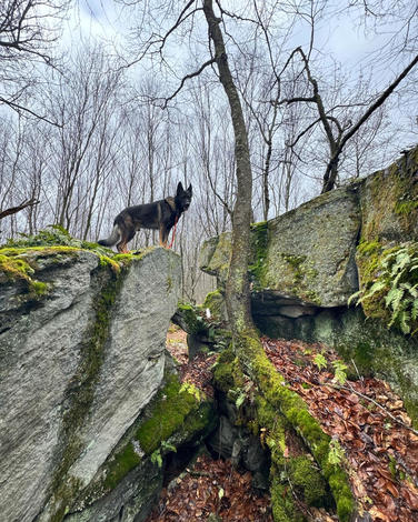 Picture 4 of Big Rocks 