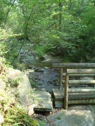 Picture 20 of Big Rocky Row Hike 061111