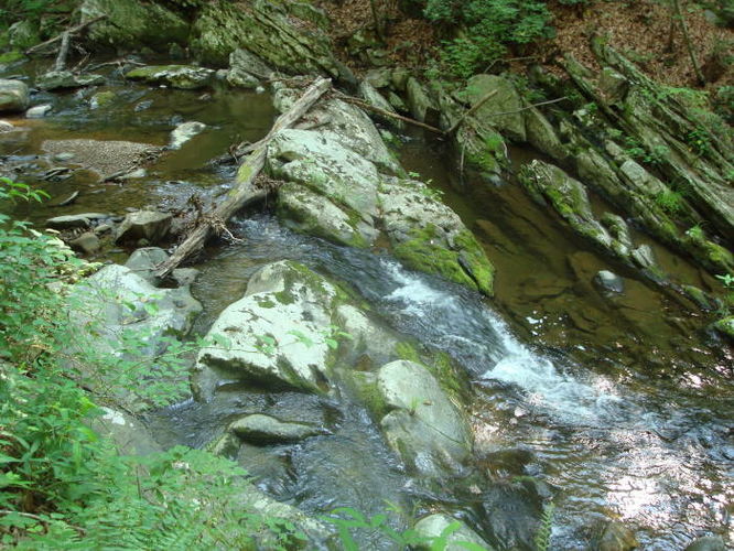 Picture 22 of Big Rocky Row Hike 061111