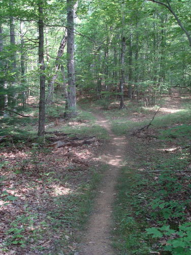 Picture 24 of Big Rocky Row Hike 061111