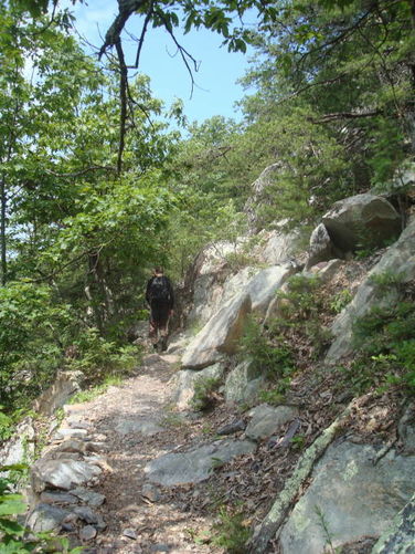 Picture 14 of Big Rocky Row Hike 061111