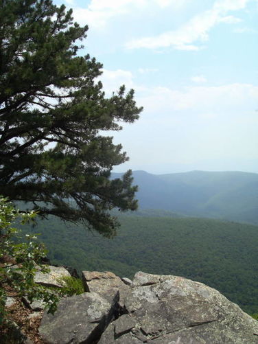 Picture 9 of Big Rocky Row Hike 061111