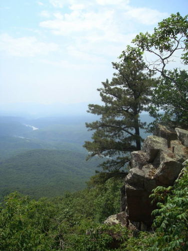 Picture 10 of Big Rocky Row Hike 061111