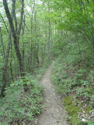 Picture 2 of Big Rocky Row Hike 061111