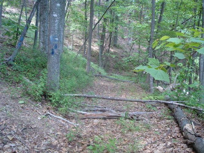 Picture 3 of Big Rocky Row Hike 061111