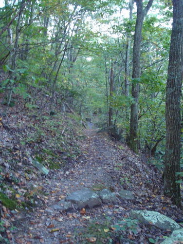 Picture 6 of Big Run Hike 092809