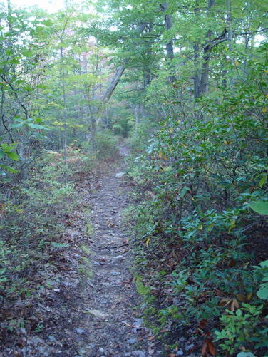 Picture 9 of Big Run Hike 092809