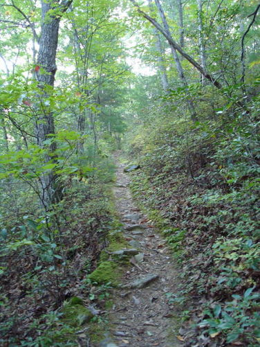 Picture 11 of Big Run Hike 092809