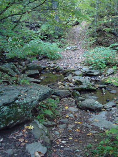 Picture 14 of Big Run Hike 092809