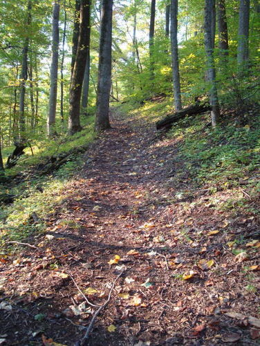 Picture 17 of Big Run Hike 092809