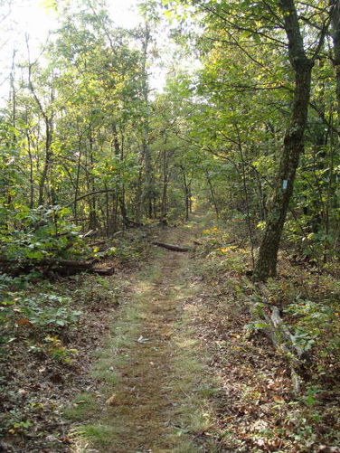 Picture 20 of Big Run Hike 092809
