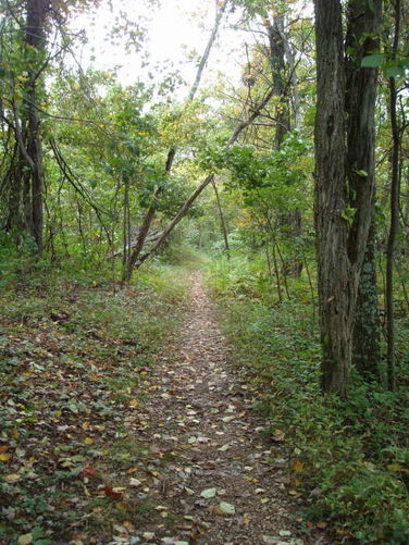 Picture 21 of Big Run Hike 092809