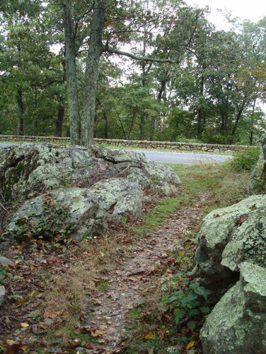 Picture 22 of Big Run Hike 092809