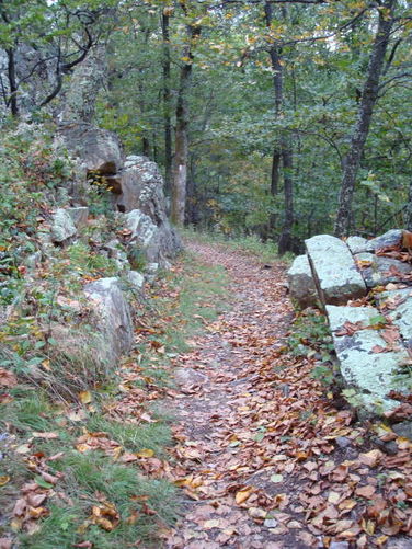 Picture 23 of Big Run Hike 092809