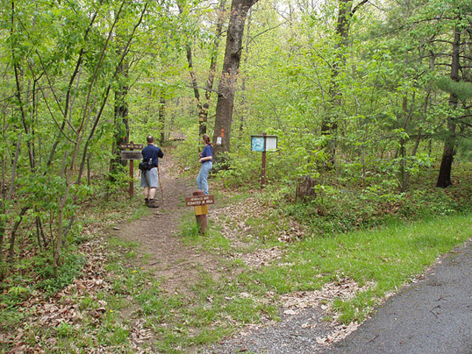 Picture 23 of Big Schloss Hike 051103