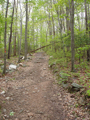 Picture 12 of Big Schloss Hike 051103
