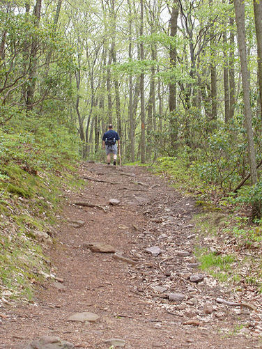 Picture 10 of Big Schloss Hike 051103