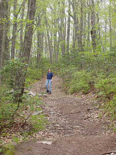 Picture 16 of Big Schloss Hike 051103