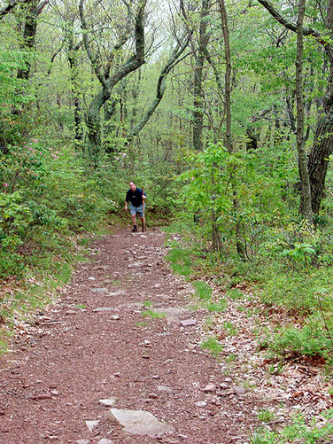Picture 13 of Big Schloss Hike 051103