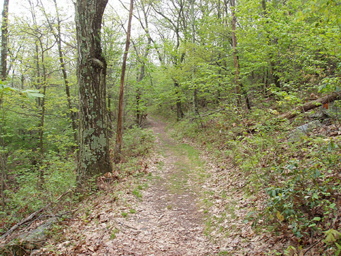 Picture 25 of Big Schloss Hike 051103