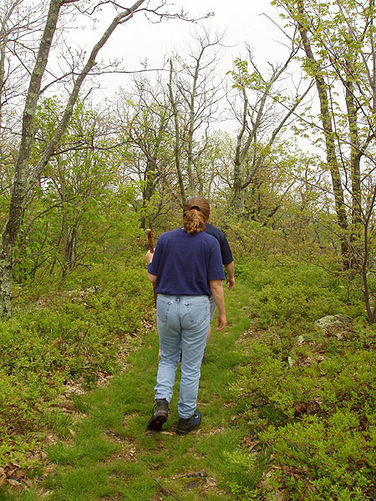 Picture 21 of Big Schloss Hike 051103