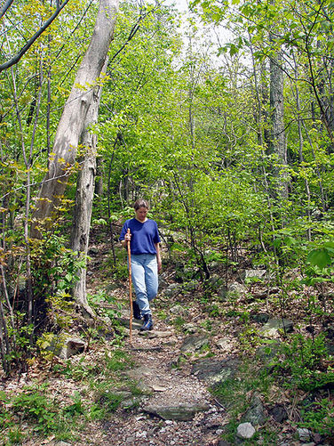 Picture 14 of Big Schloss Hike 051103