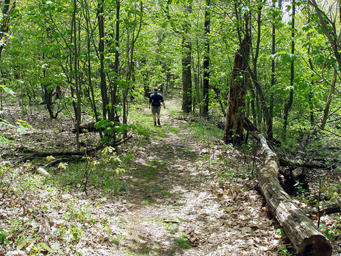 Picture 8 of Big Schloss Hike 051103