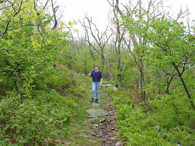 Picture 28 of Big Schloss Hike 051103
