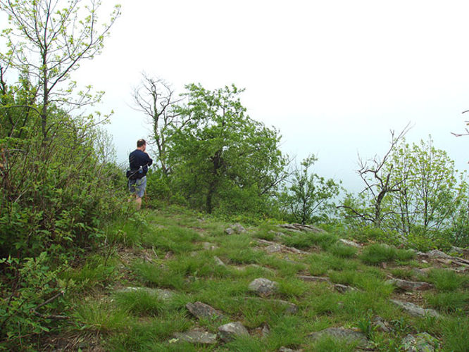 Picture 29 of Big Schloss Hike 051103