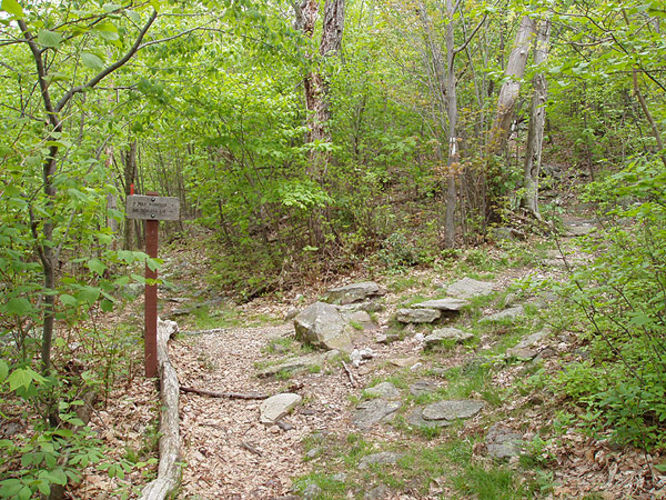 Picture 31 of Big Schloss Hike 051103