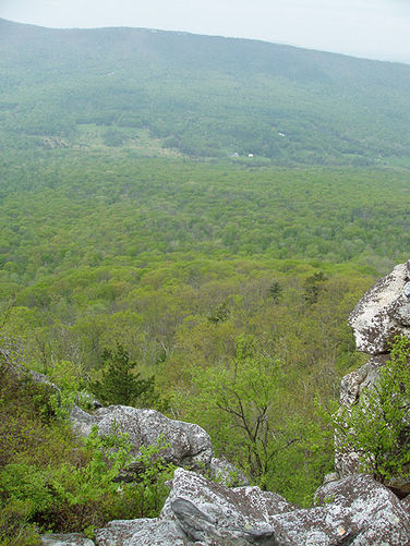 Picture 36 of Big Schloss Hike 051103