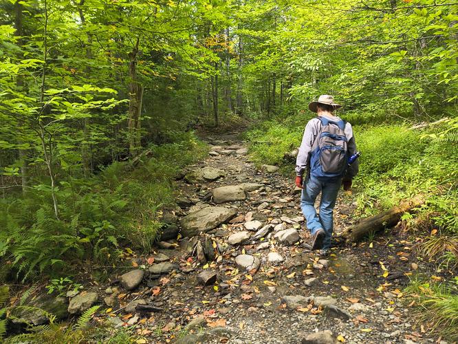 The trail accessibility is limited past the Cabin.