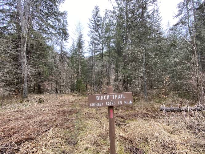 Birch Trail northern trailhead