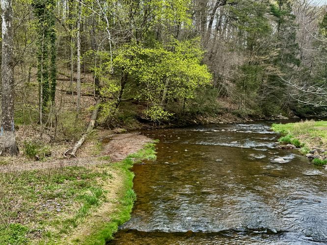 Creek view near the trailhead