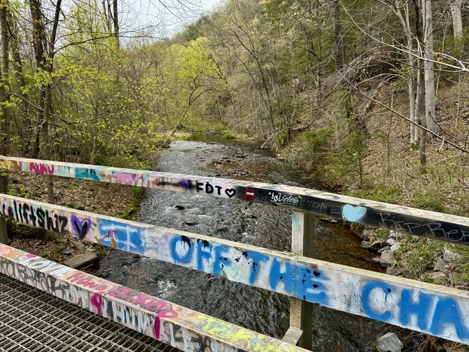 Graffiti bridge along the trail